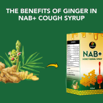 The Benefits of Ginger in NAB+ Cough Syrup